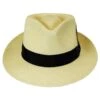 Stain Repellent Panama Straw C-Crown Fedora Hat