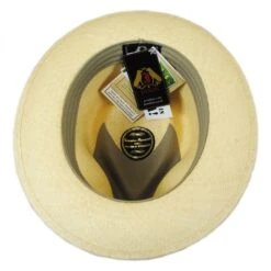 Stain Repellent Panama Straw C-Crown Fedora Hat -Fashion Hat Discount Store 192837