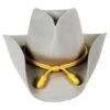 Bailey Cavalry II Wool Felt Western Hat