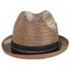 Coconut Straw Stingy Fedora Hat -Fashion Hat Discount Store 379712