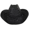 Houston Rush Straw Cowboy Hat - Black -Fashion Hat Discount Store 440913