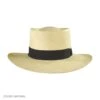 Cuenca Panama Straw Gambler Hat